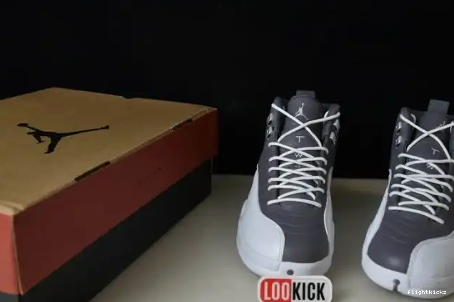 JORDAN STEALTH 12 AIR CT8025-610 0706